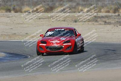 media/Nov-04-2023-CalClub SCCA (Sat) [[cb7353a443]]/Group 2/Cotton Corners (Race)/